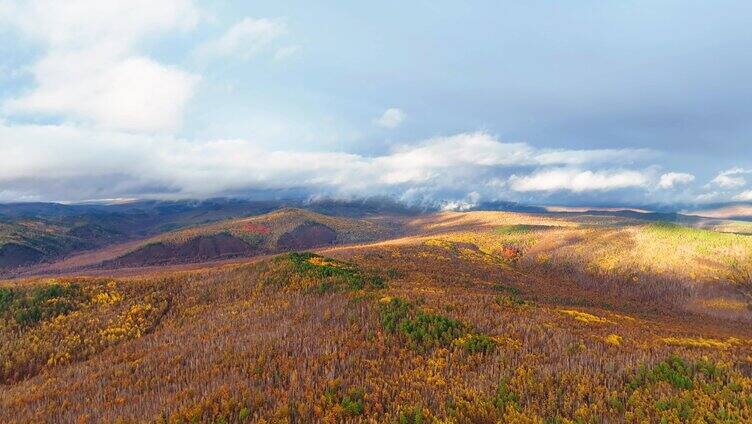 航拍大兴安岭秋季山林