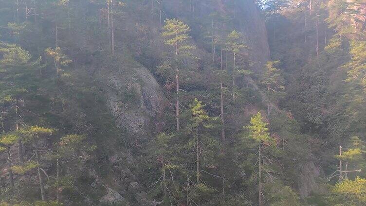 安徽黄山风景视频素材