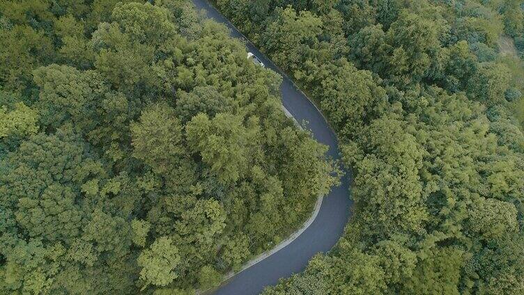 白色汽车行驶在竹林山路航拍