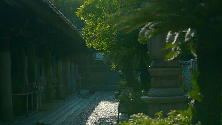 阳光 逆光 大树 寺庙 唯美2