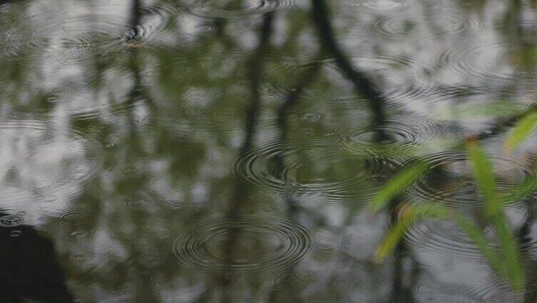 自然雨景水滴唯美水波纹