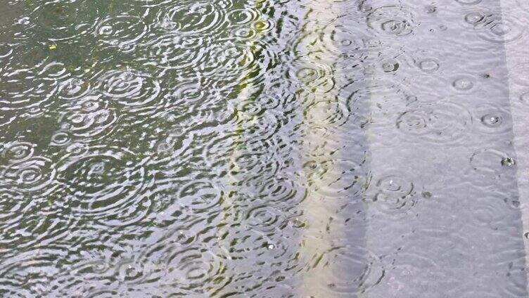 大自然雨季下雨雨滴树林树叶雨升格