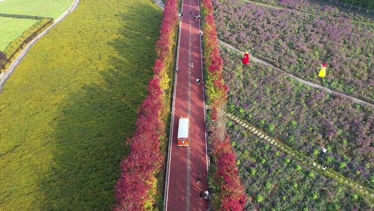 车辆在高速公路 乡村路 公路上行驶旅游