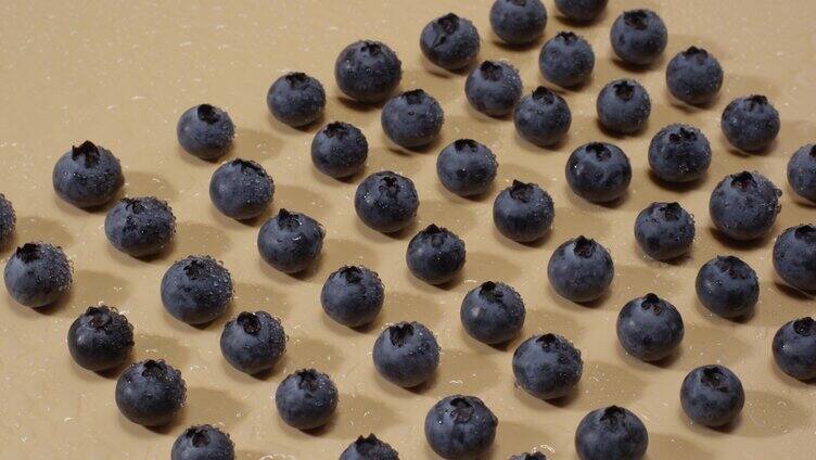 蓝莓走光 有机蓝莓