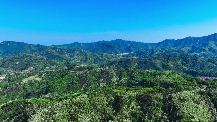 山川大地青山绿水 绿水青山