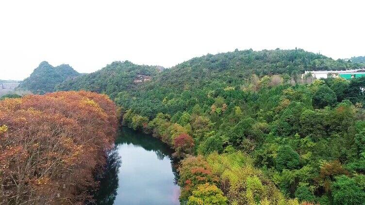 航拍贵州贵阳城市黄金大道梧桐秋景生态