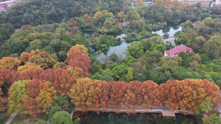 航拍贵州贵阳花溪公园生态城市湿地风光