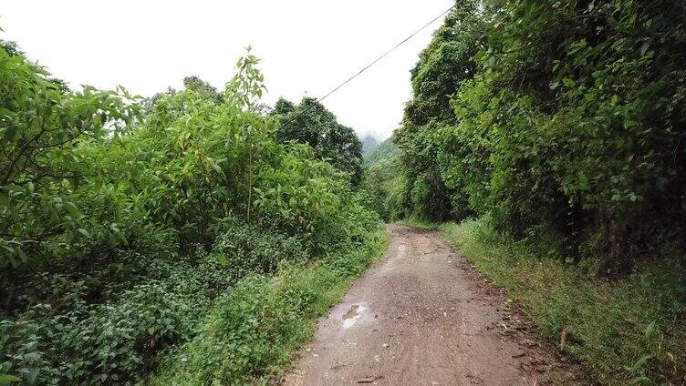 山间泥泞道路