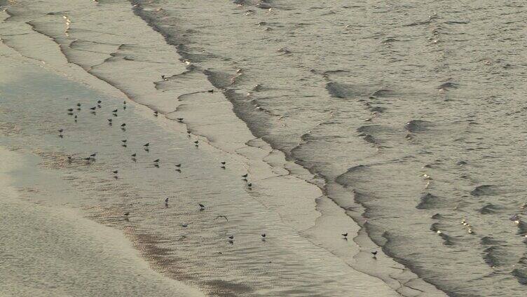 海边海浪沙滩