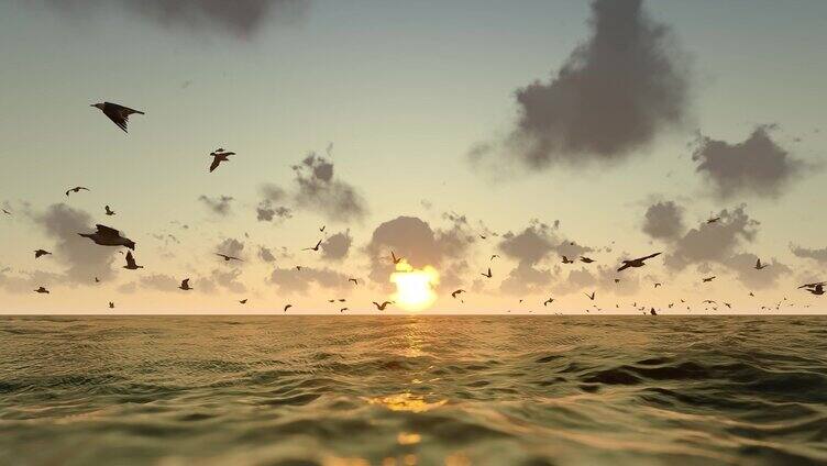 海面上飞翔的海鸥慢动作