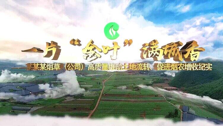 大气烟草公司logo演绎AE模板