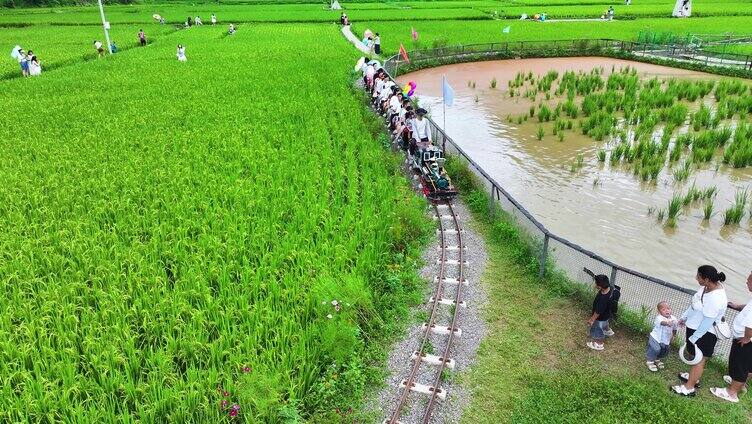 航拍景区观光小火车穿越绿色稻田唯美风景