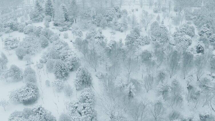 雪景航拍唯美大自然