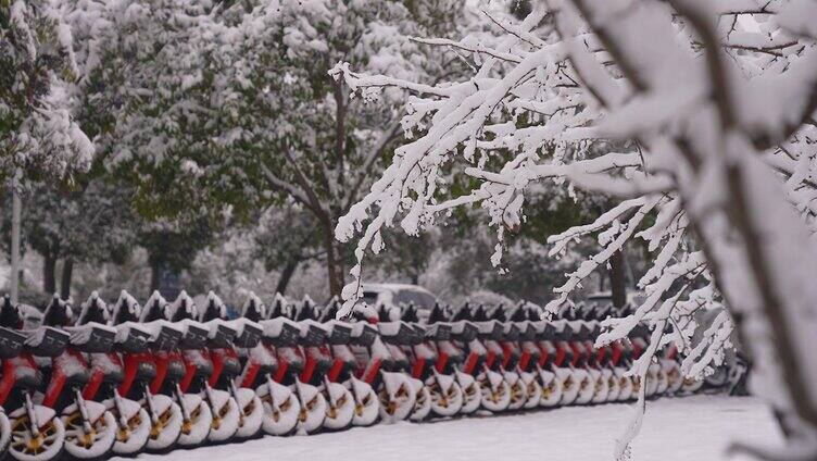 冬天雪景自然气候