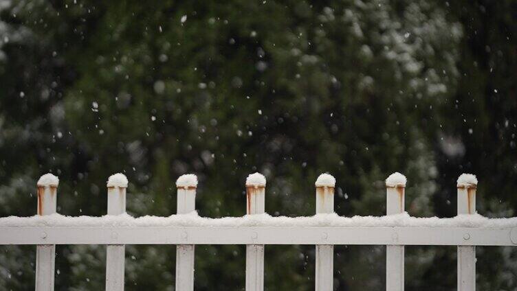 冬天 下雪季节