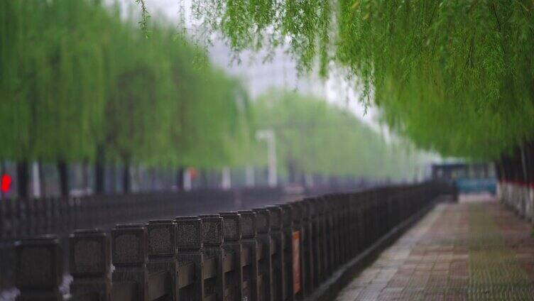 下雨天 柳树街道