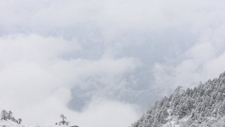 四川牛背山拍摄