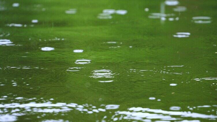 水面雨滴 清明下雨