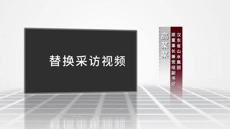 反腐警示纪委扫黑嫌疑人介绍AE模板