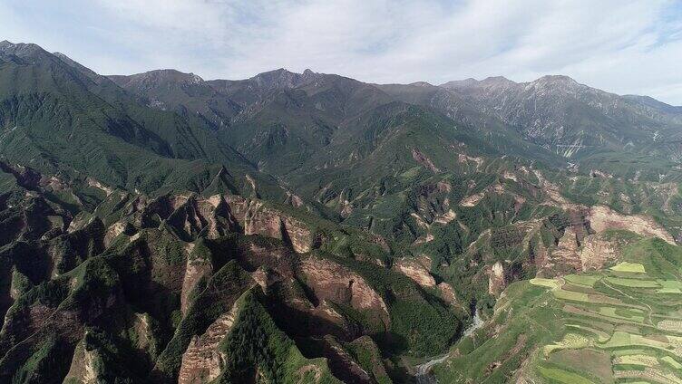 央宗林区航拍 山 树木 森林 林区 悬崖