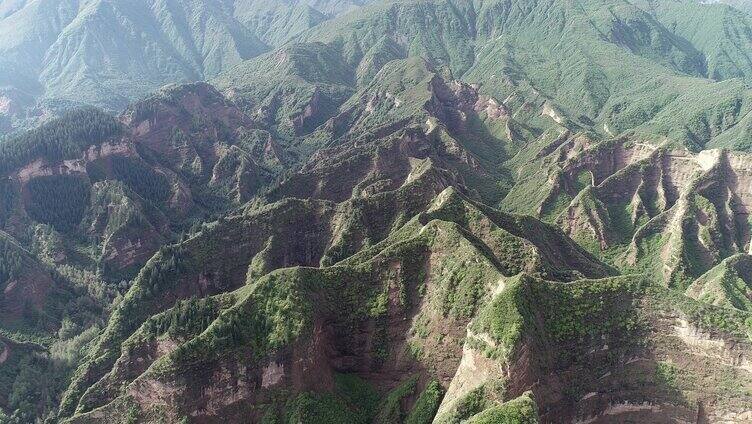 央宗林区航拍 山 树木 森林 林区 悬崖