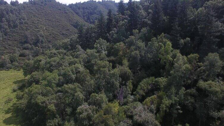 山川 风景 大好河山 自然 山脉 