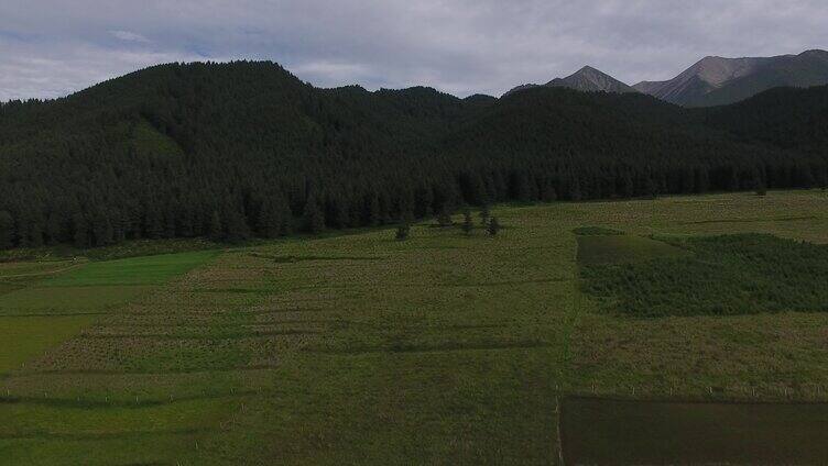 南山 蓝天 白云 溪水 麦田 