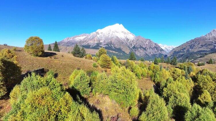 川西美景理塘县格聂神山