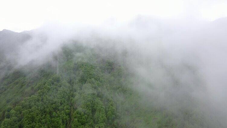 航拍 树林 白云 蓝天 4k 山脉 森林