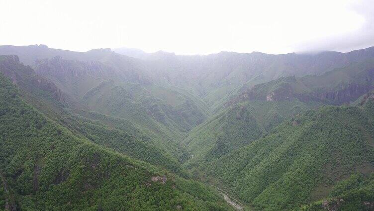 航拍 树林 白云 蓝天 4k 山脉 森林