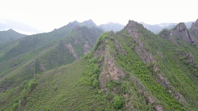 航拍 树林 白云 蓝天 4k 山脉 森林