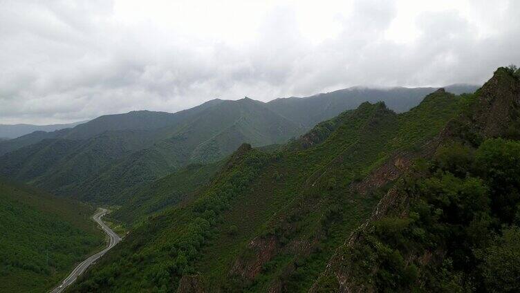 扎碾公路 青海 最美公路 旅游 森林 山