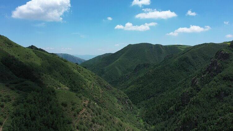 蓝天 白云 山峰 山脉 森林 青山 山 