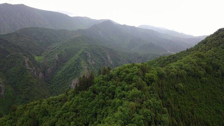 航拍 树林 白云 蓝天 4k 山脉 森林