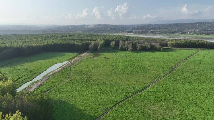 三门峡黄河湿地生态草地航拍