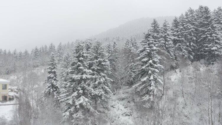 雪山 航拍 生态环境 乐都 4k航拍 青