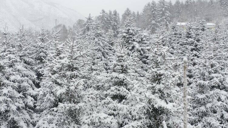 雪山 航拍 生态环境 乐都 4k航拍 青