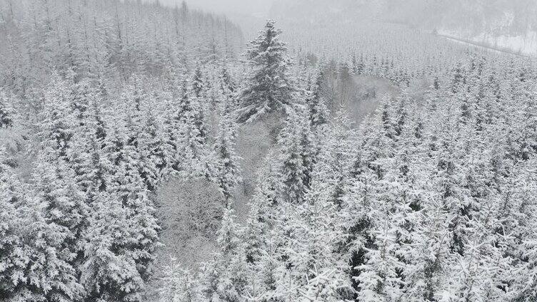 雪山 航拍 生态环境 乐都 4k航拍 青