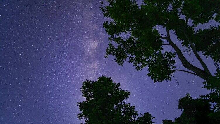 银河星空透过树梢延迟