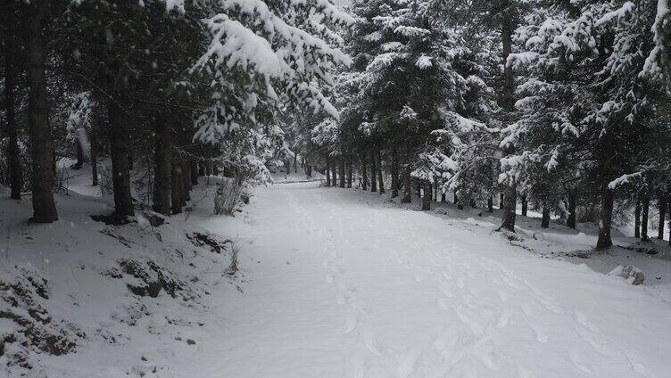 雪山 航拍 生态环境 乐都 4k航拍 青