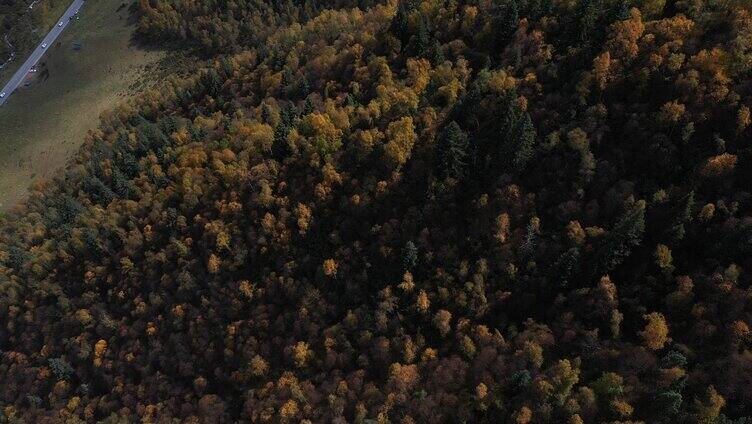  秋天 4k分辨率 宁静 自然美 风景 