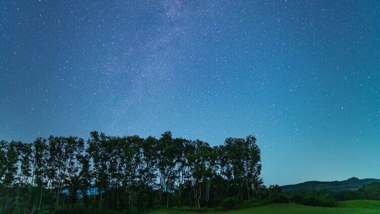 树林星空萤火虫延迟