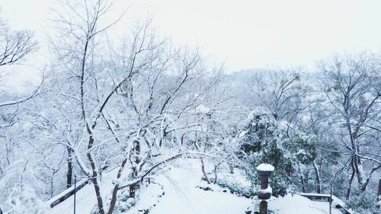 杭州西湖雪宝石山雪景宝淑塔雪景浙江雪景