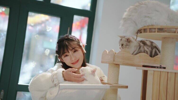 猫舍猫咖撸猫少女