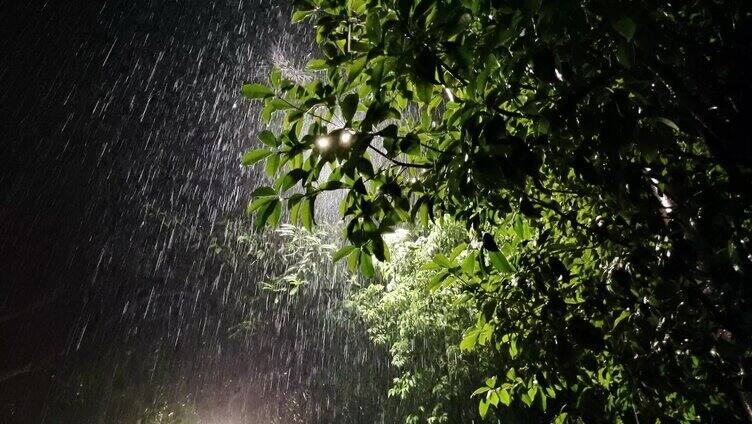 逆光夜雨雨打绿树叶夜晚雨点 雨夜逆光路灯