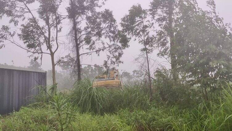 乌云盖顶乌云密布暴风雨袭击绿树摇摆