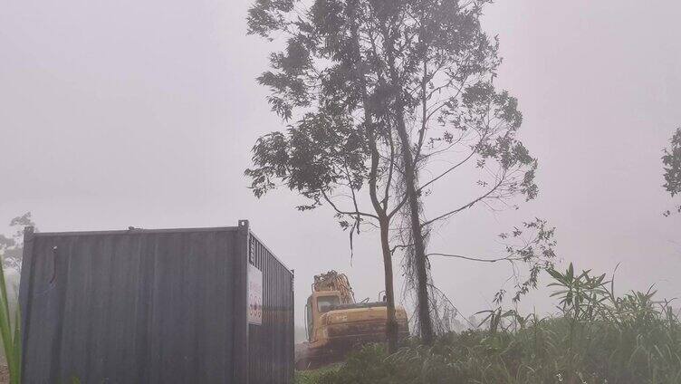 暴风雨天气 狂风骤雨 台风来袭 袭击绿树