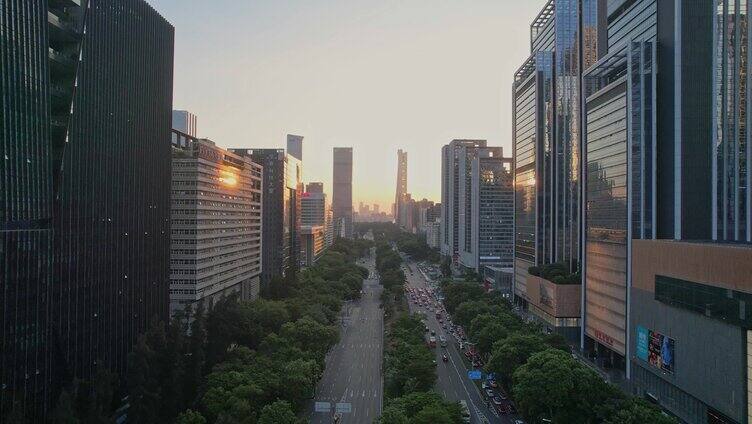 深圳高新园日落