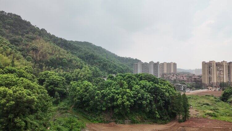 户外夏季花草树木小河流水游玩夜晚