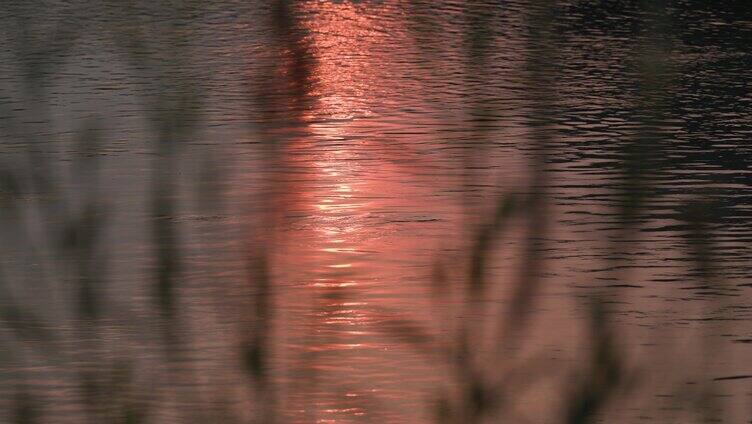 河边夕阳晚霞